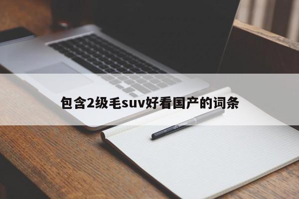 包含2级毛suv好看国产的词条