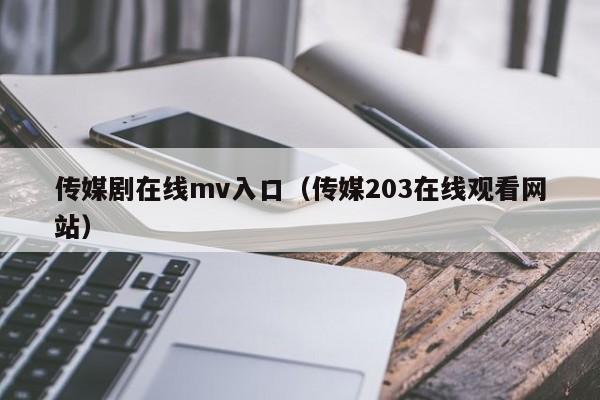 传媒剧在线mv入口（传媒203在线观看网站）