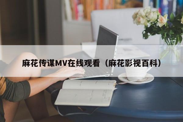 麻花传谋MV在线观看（麻花影视百科）