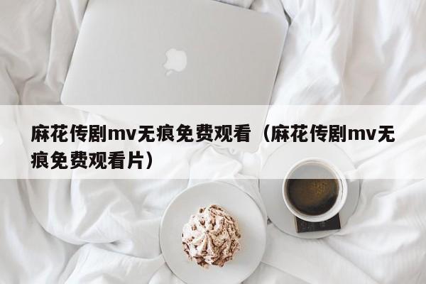 麻花传剧mv无痕免费观看（麻花传剧mv无痕免费观看片）