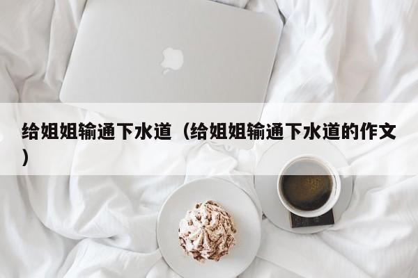 给姐姐输通下水道（给姐姐输通下水道的作文）