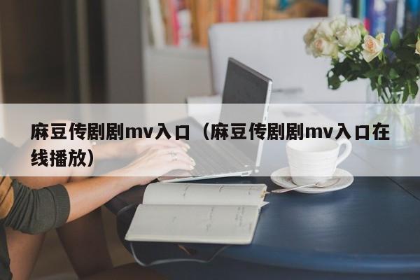 麻豆传剧剧mv入口（麻豆传剧剧mv入口在线播放）
